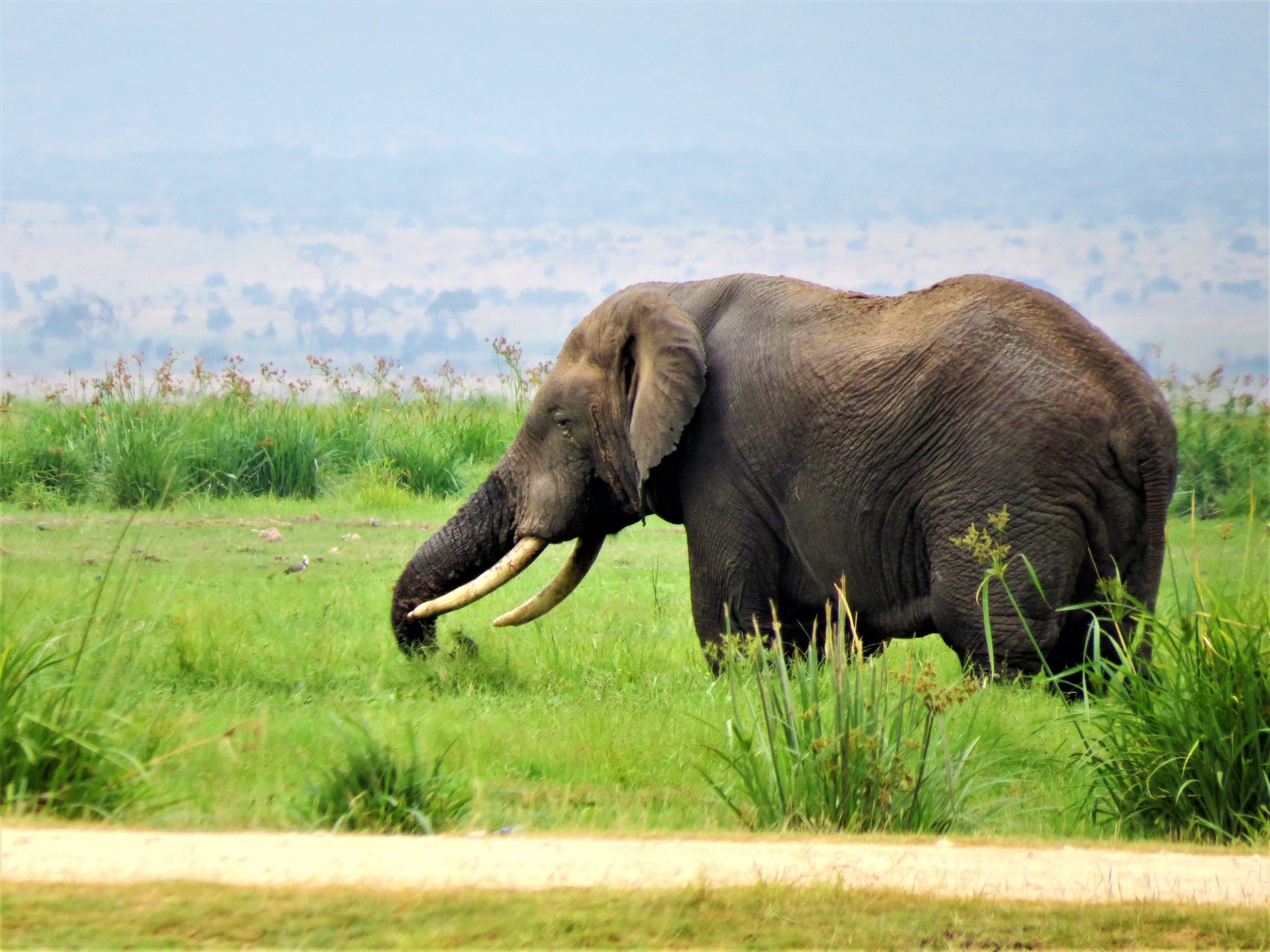 Spirit of Kenya original photograph 1